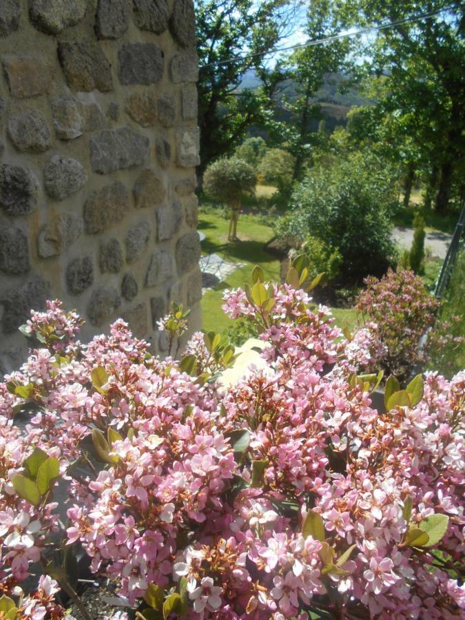 Maison D'Hotes Les Palmiers Gluiras Exterior photo